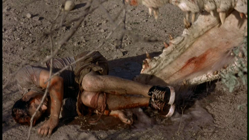 actor Chris Solari large photo