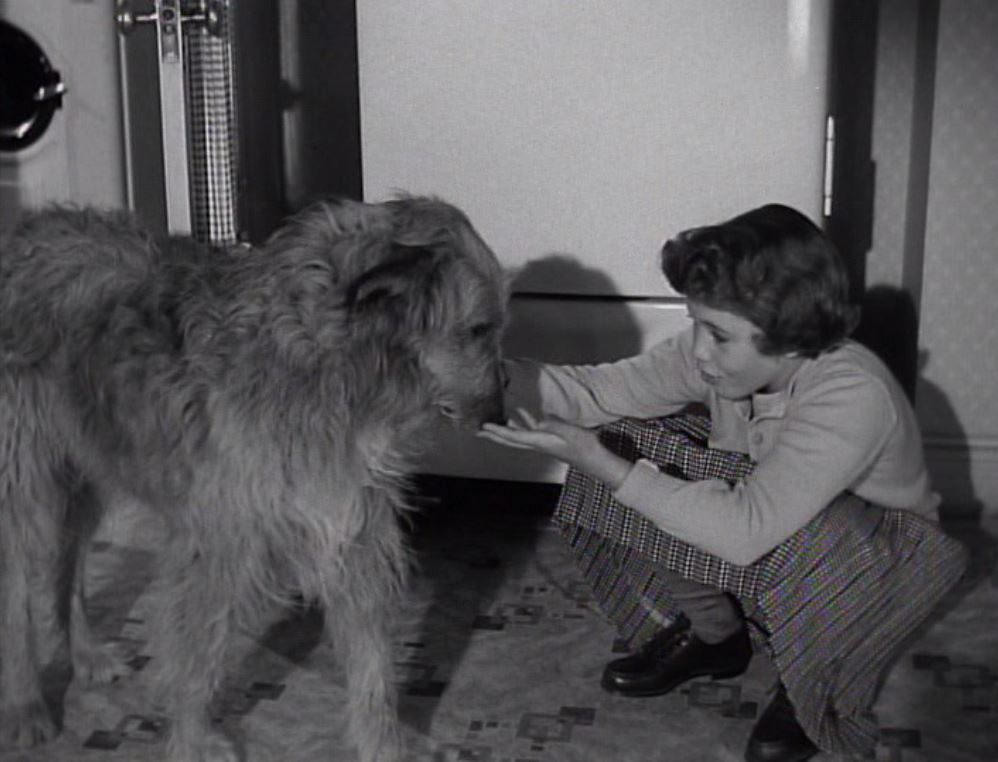 actor Gay Gordon large photo