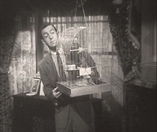 actor Robert Nichols large photo