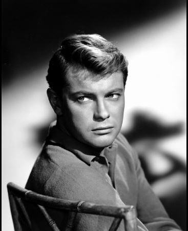 actor Troy Donahue large photo