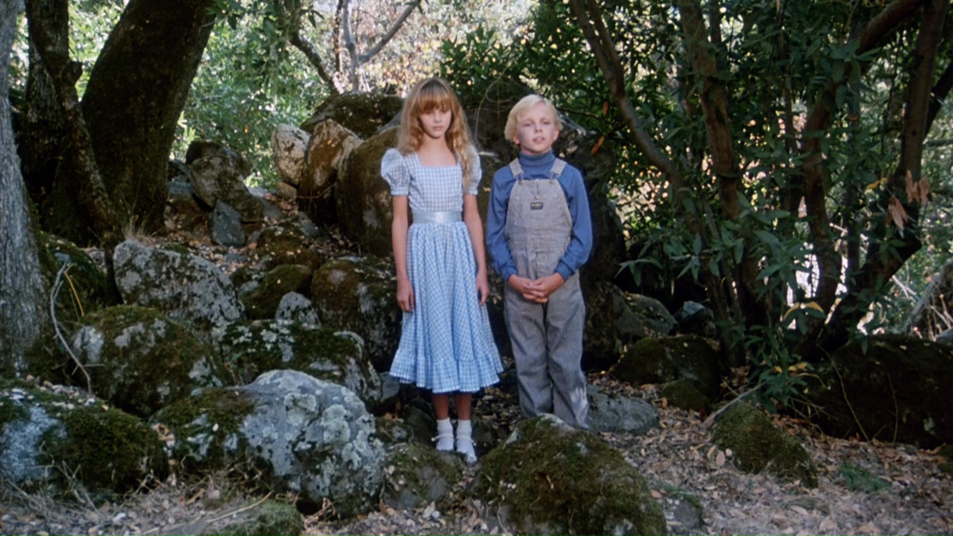 actor Corky Pigeon large photo