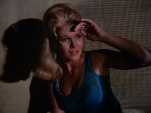 actor Jean Hale large photo