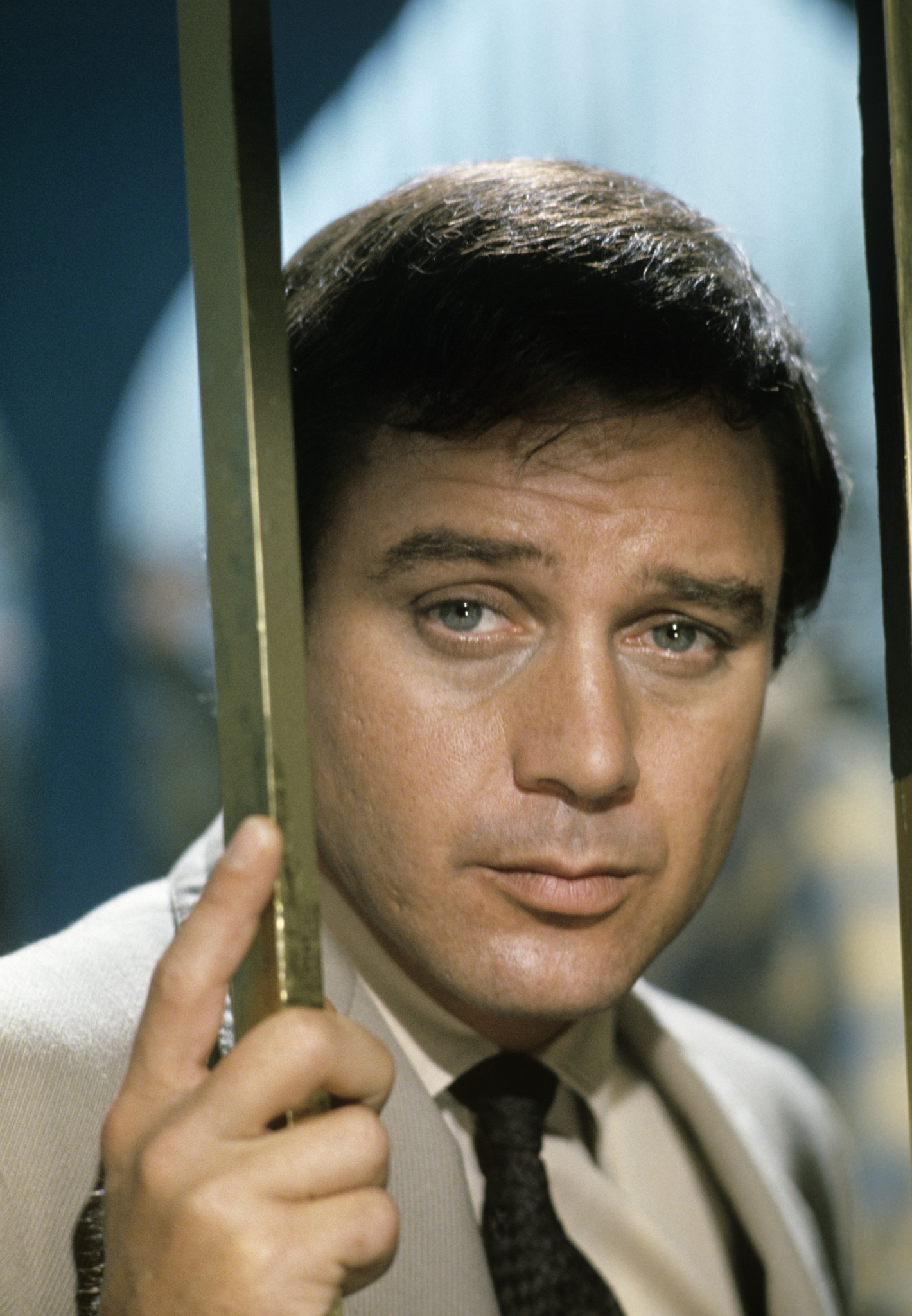 actor Michael Callan large photo