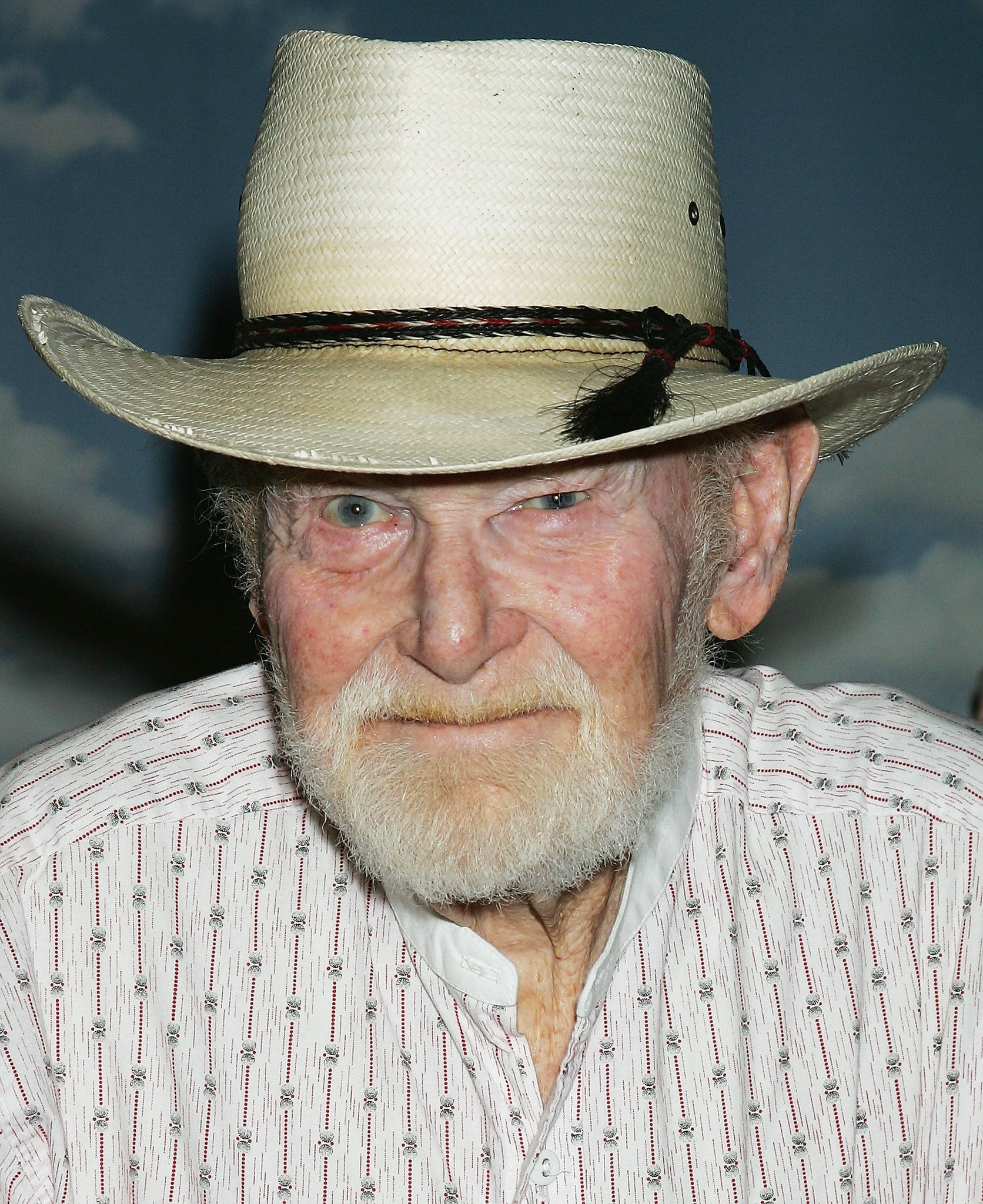 actor Harry Carey Jr. large photo