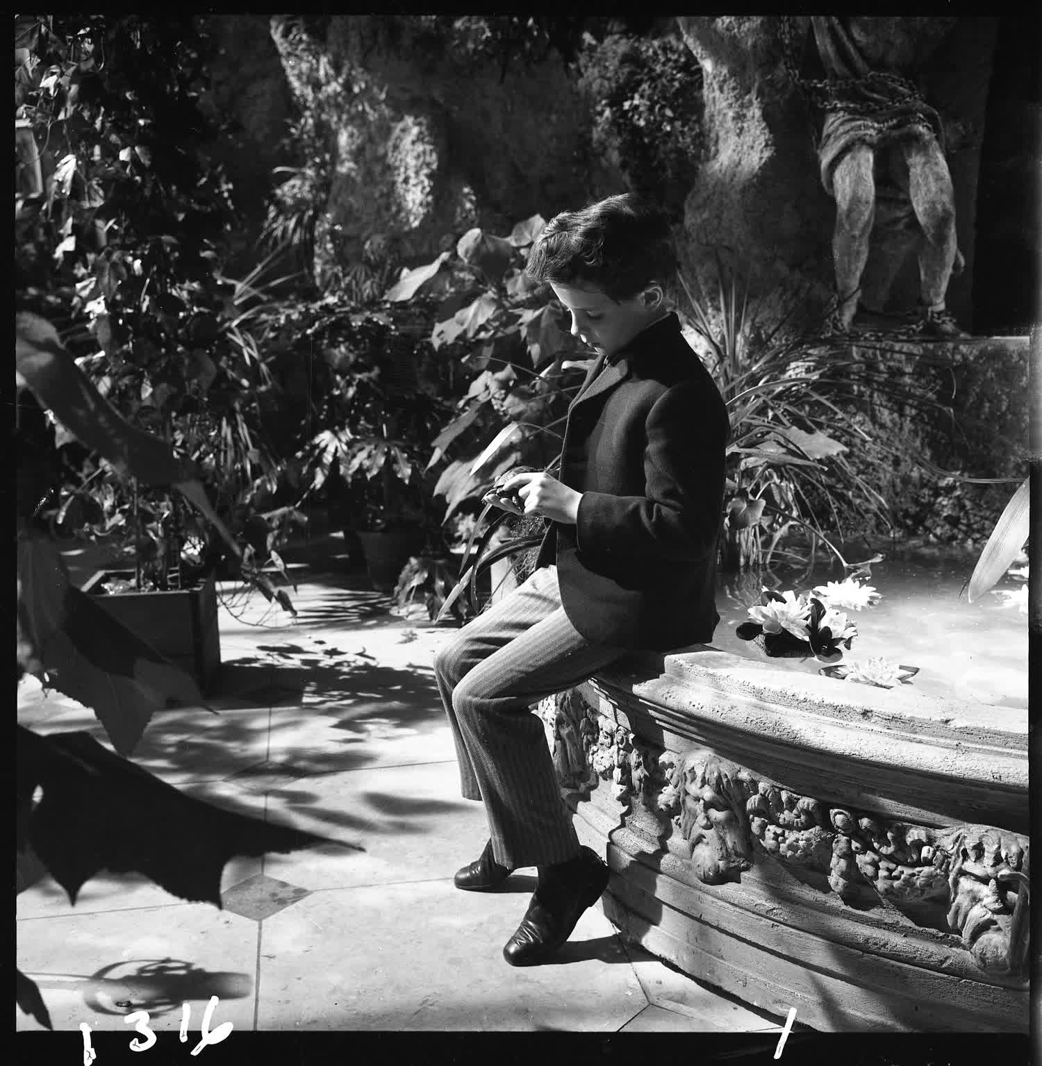 actor Martin Stephens large photo