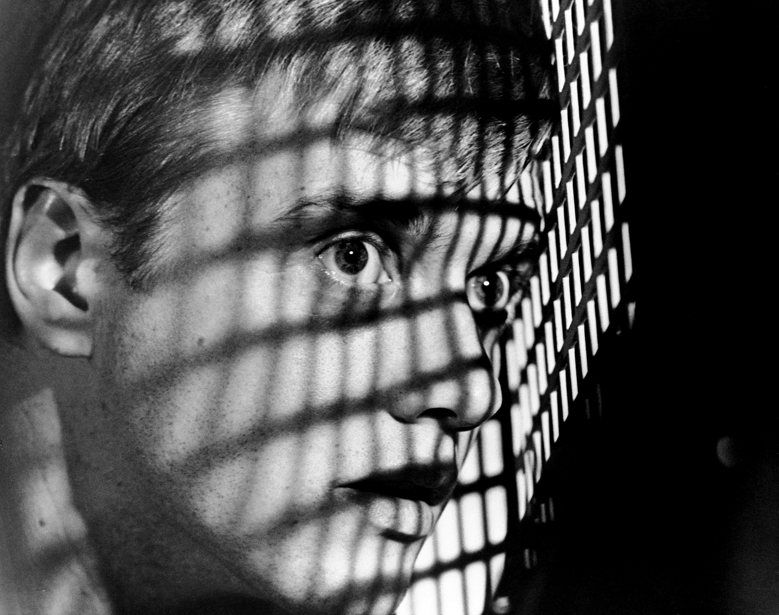 actor Randolph Roberts large photo