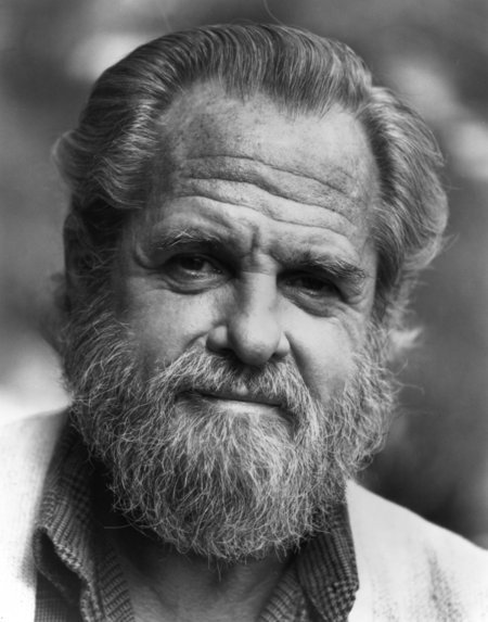 actor Corey Allen large photo