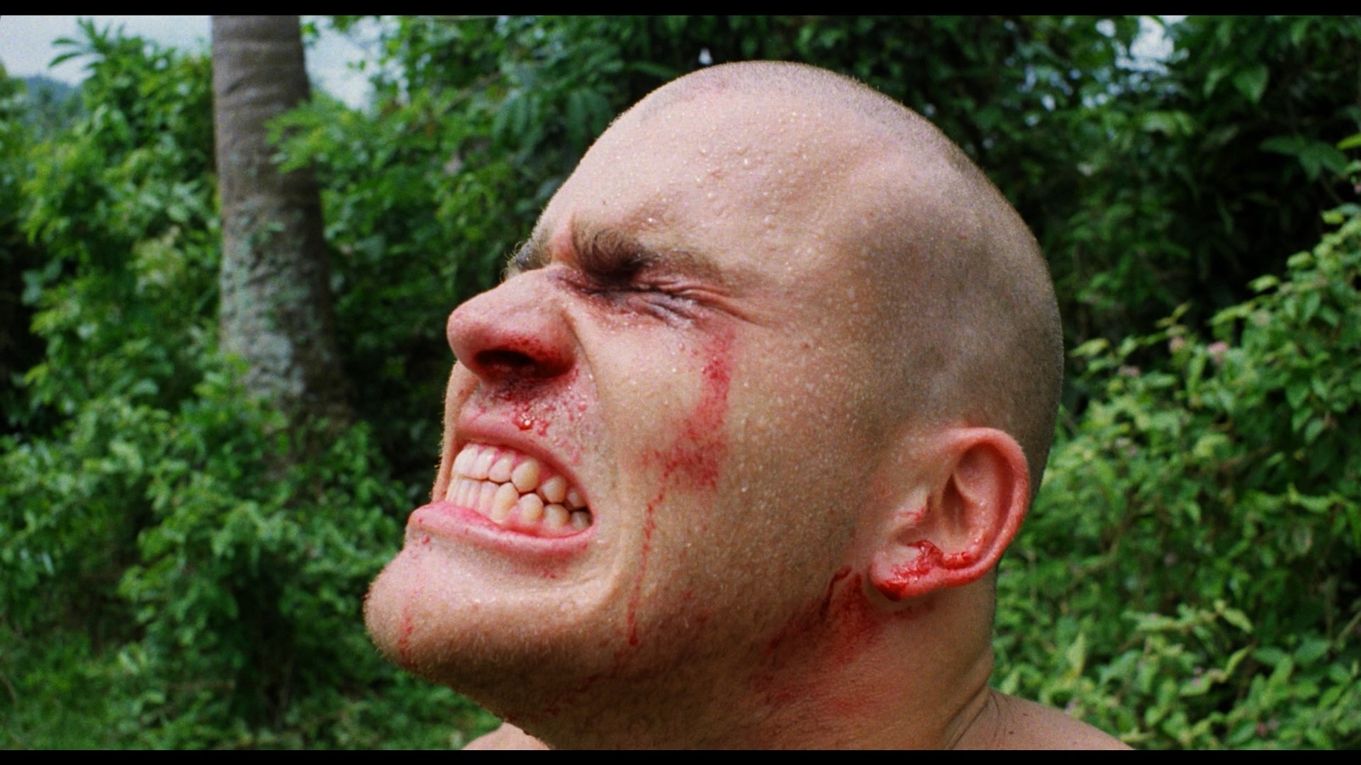 actor Alex Vitale large photo