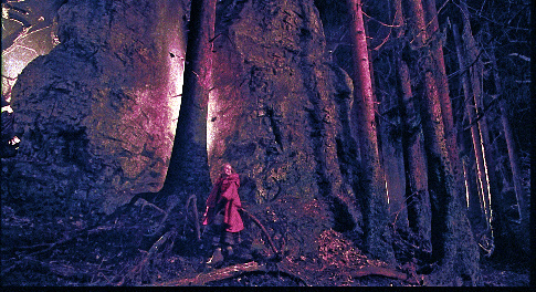 actor Alena Jakobová large photo