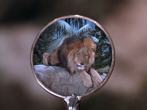 actor Zamba large photo