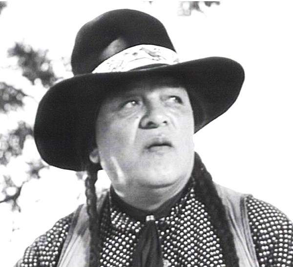 actor Chris Willow Bird large photo