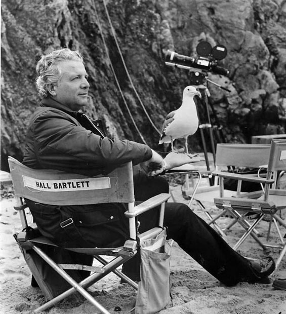 actor Hall Bartlett large photo