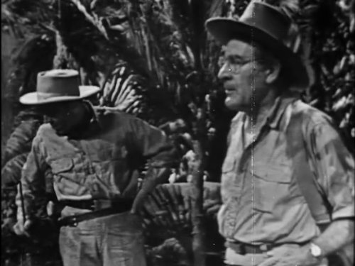 actor Cameron Prud'Homme large photo