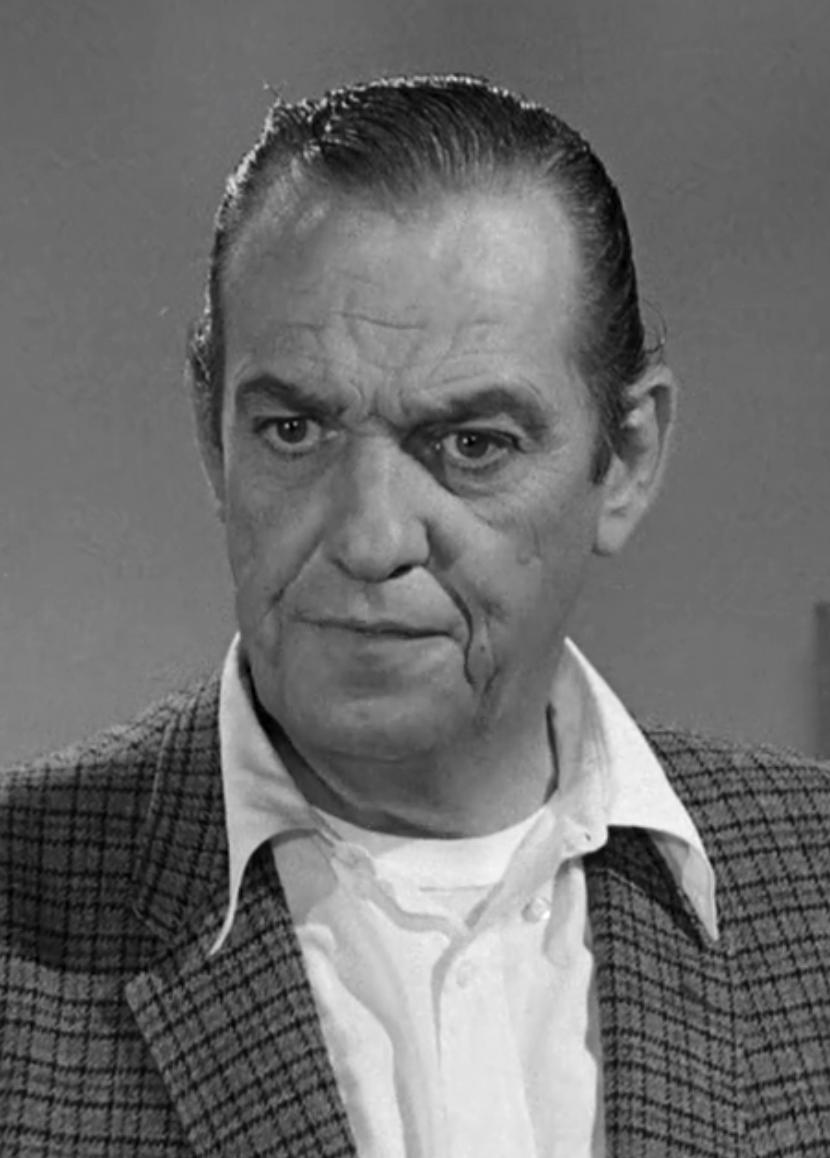 actor Michael Ross large photo