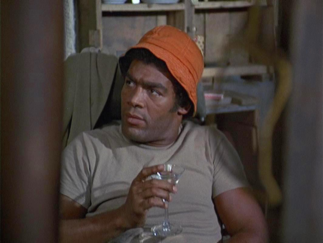 actor Timothy Brown large photo