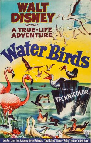 A True-Life Adventure: Water Birds [Version française]