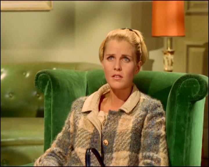 actor Ilona Rodgers large photo