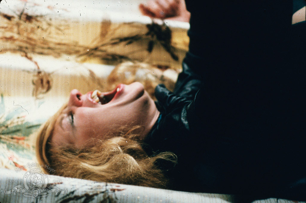 actor K.C. Townsend large photo