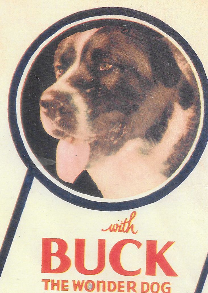 actor Buck large photo