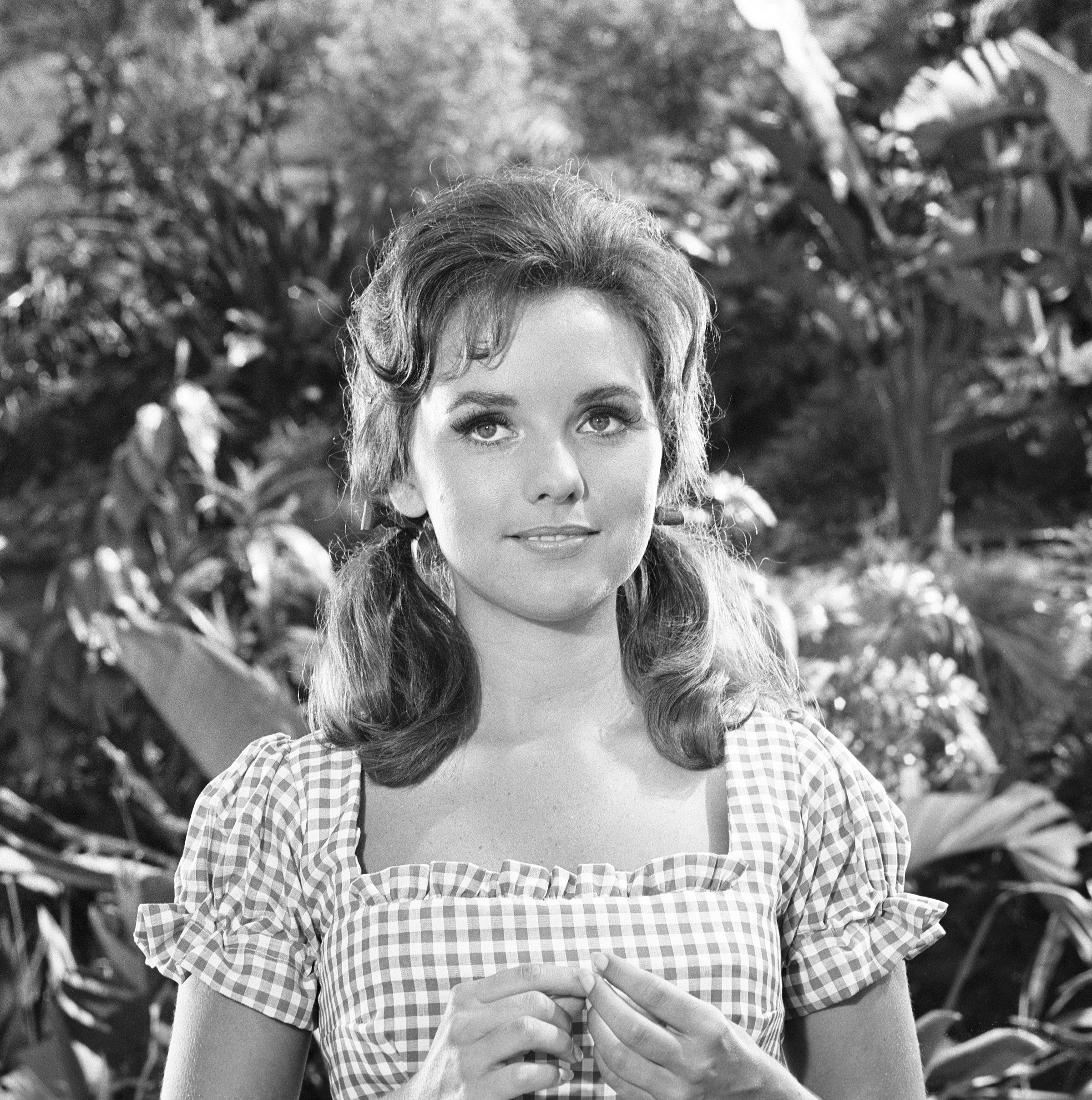 actor Dawn Wells large photo