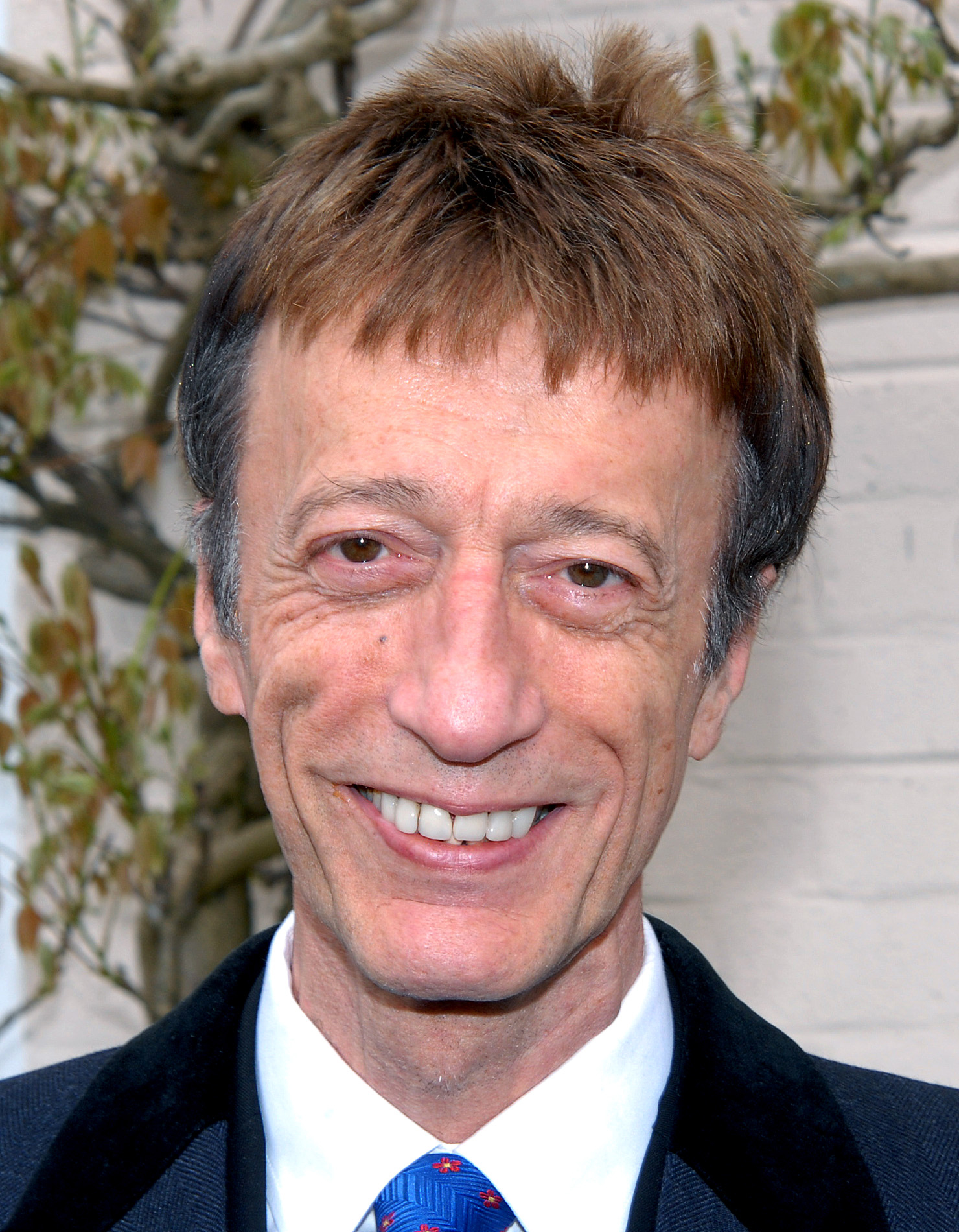 actor Robin Gibb large photo