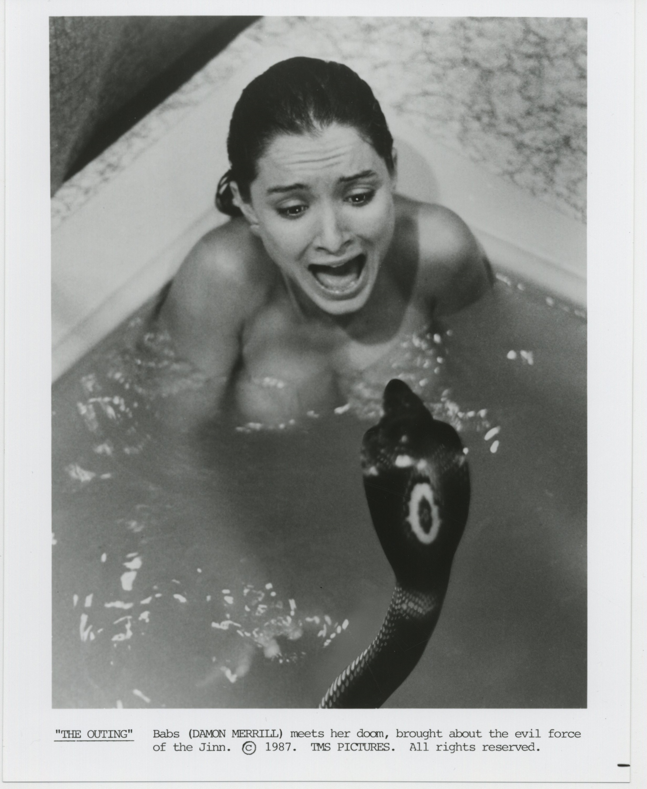 actor Damon Merrill large photo