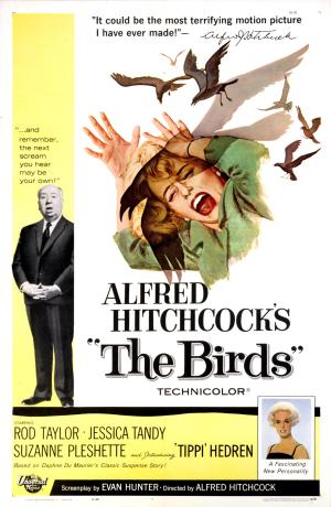 The Birds [Hindi]