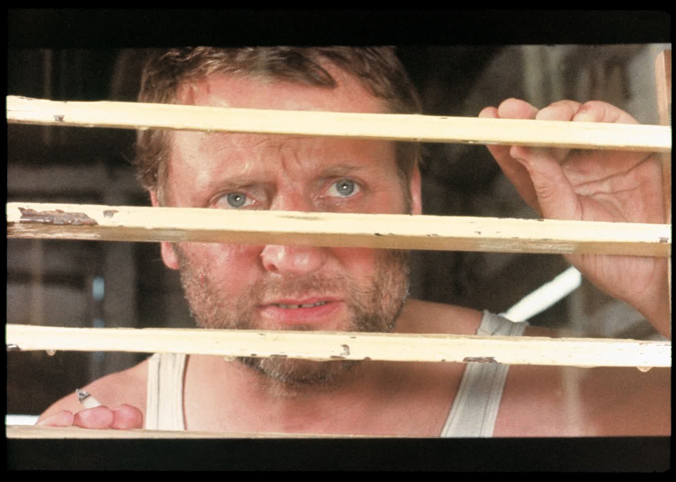 actor Bruno Cremer large photo