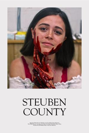 Steuben County [Indonesian]
