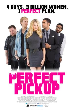 The Perfect Pickup [Hindi]