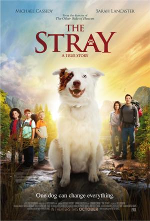The Stray [ترجمة عربية]