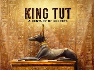 King Tut: A Century of Secrets [Version française]