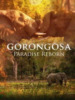 Gorongosa: Paradise Reborn [Russian]