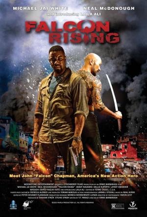 Falcon Rising [Hindi]