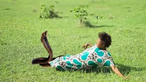 Nyoka aliyefichwa - Latest Swahiliwood Bongo Movie