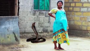 Shambulio la Kiroho - Latest Swahili Bongo Movie
