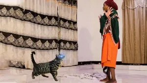 Ikiwa Una Paka Tafadhali Tazama Hii - Latest Swahili Bongo Movies
