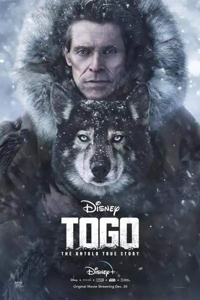 Togo poster