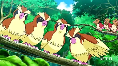 Pokémon
