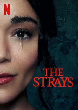 The Strays [Hindi]