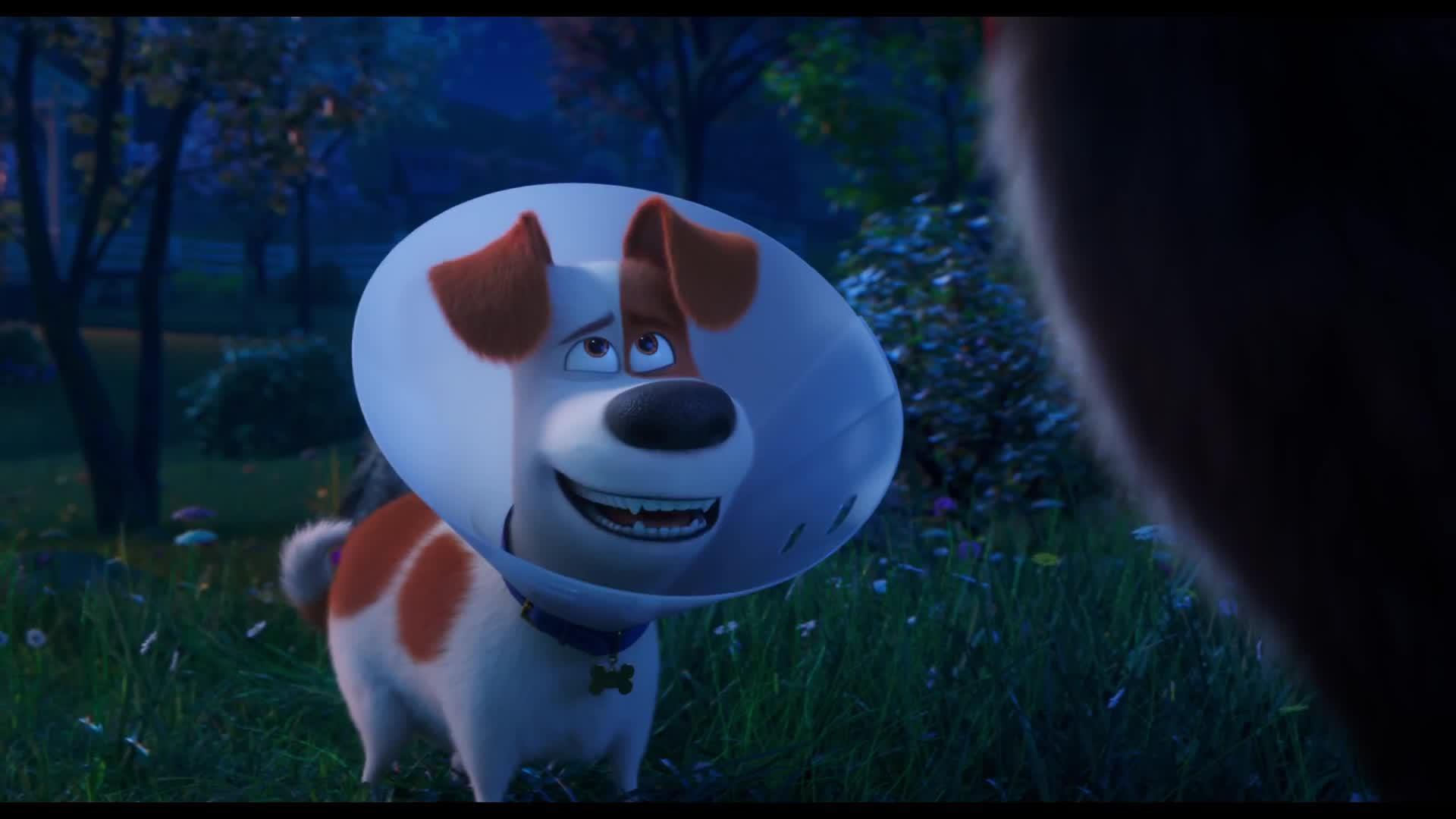 The Secret Life of Pets 2