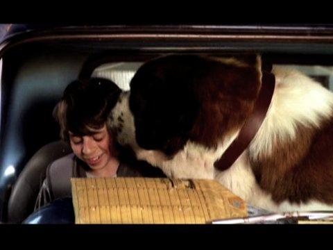 Beethoven's Big Break
