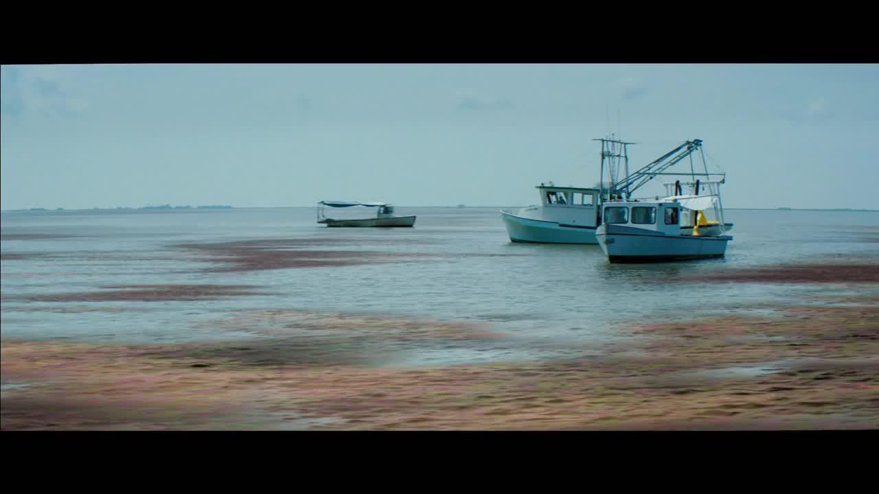The Runner