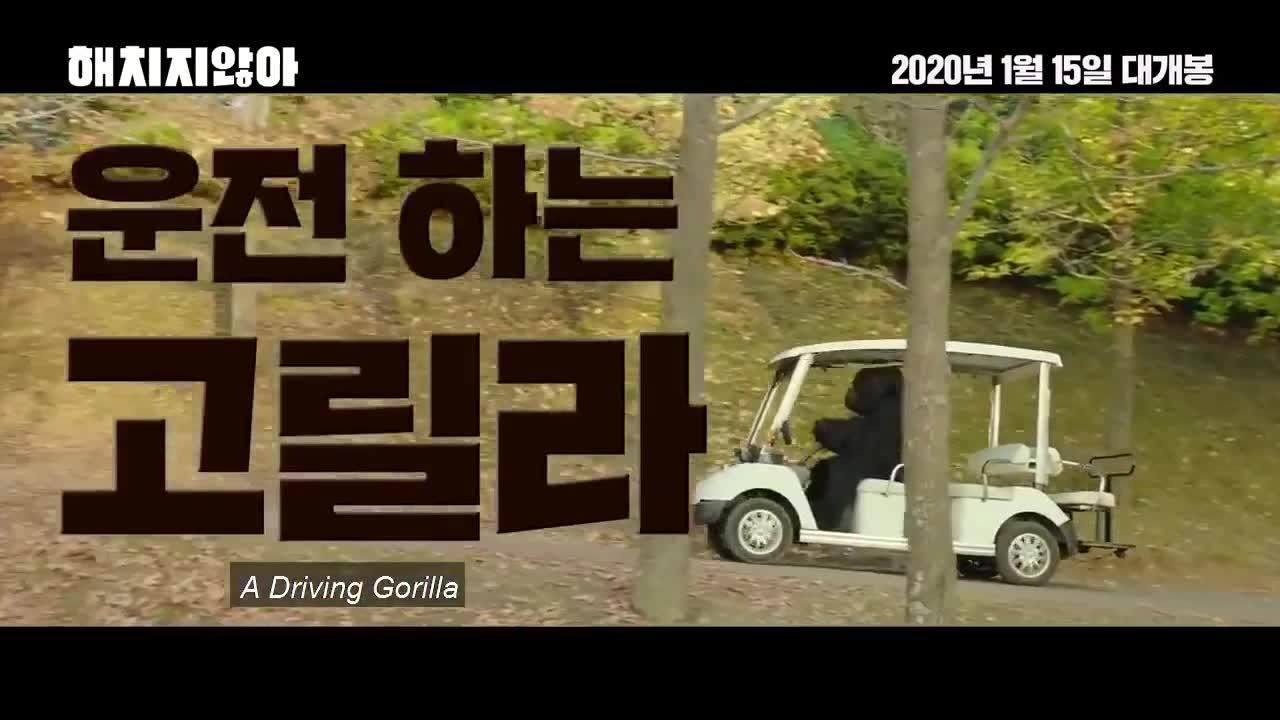 Secret Zoo