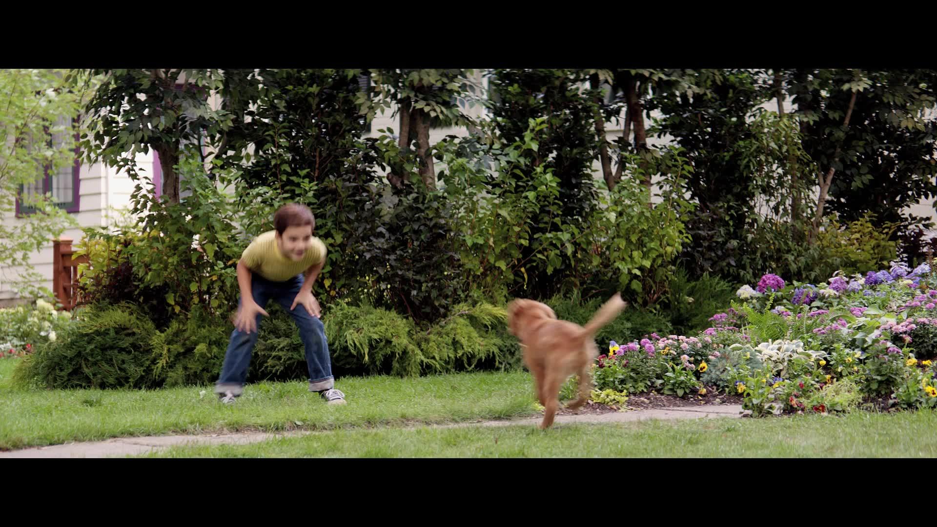 A Dog's Purpose