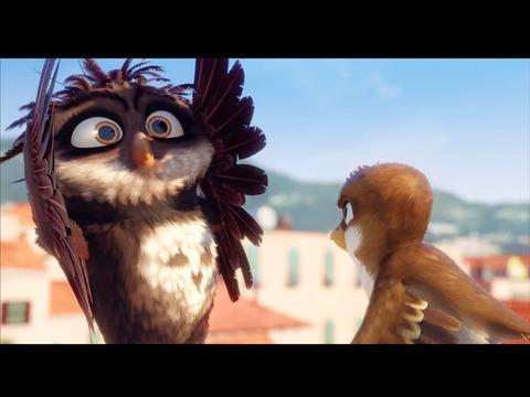 Little Bird's Big Adventure