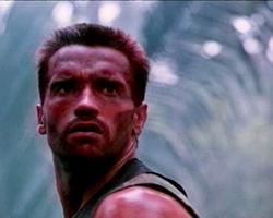Predator