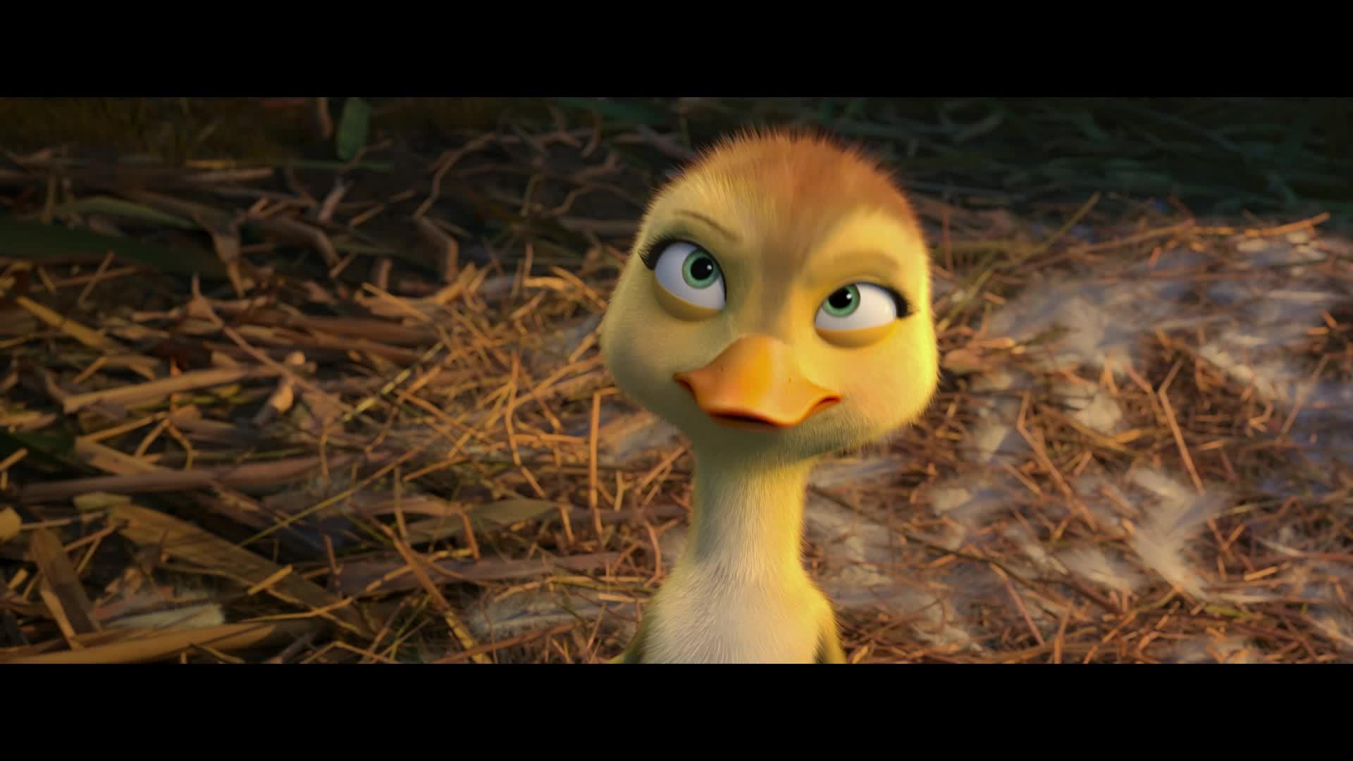 Duck Duck Goose