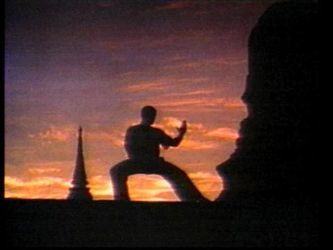 Kickboxer