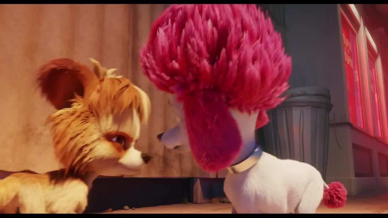100% Wolf